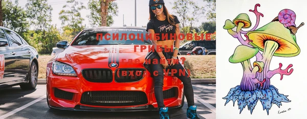 винт Кинешма