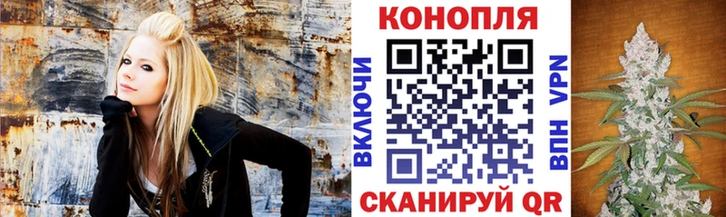 Купить закладки  Реутов  МАРИХУАНА план 